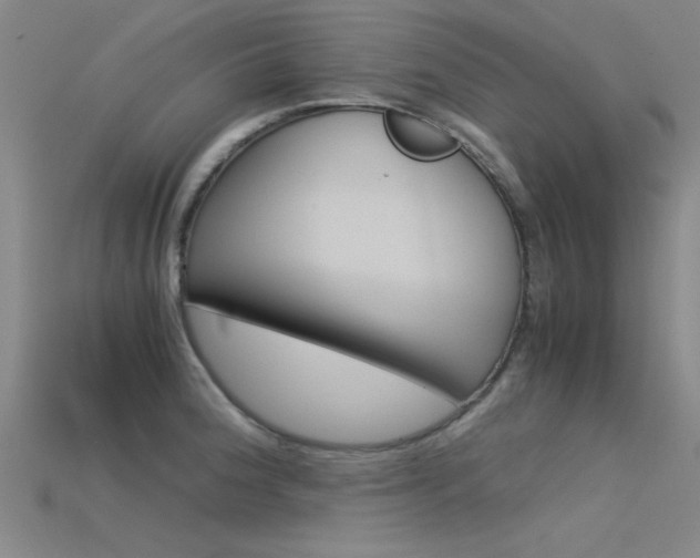 X0000115821188200911131100