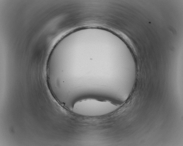 X0000115821191200911131100