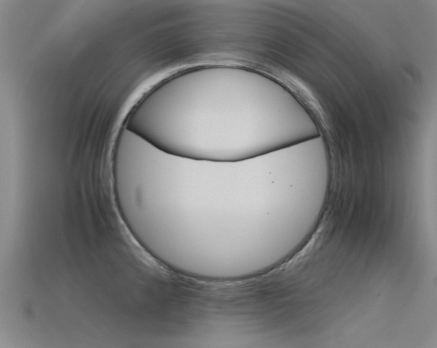 X0000115821192200911131100