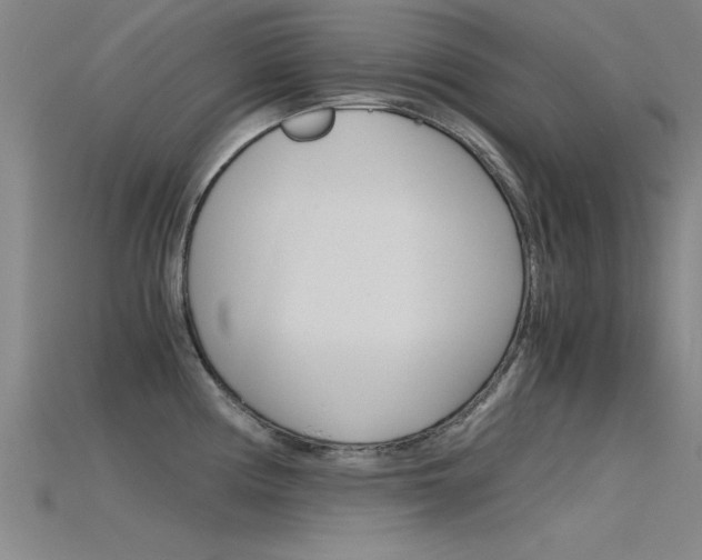 X0000115821194200911131059
