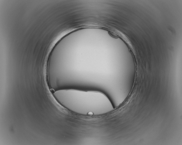 X0000115821195200911131059