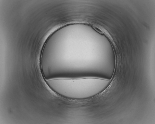 X0000115821197200911131059