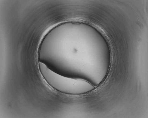 X0000115821200200911131059