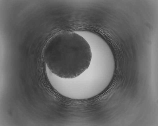 X0000115821203200911131059