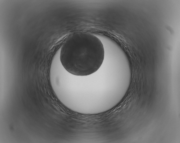 X0000115821205200911131059
