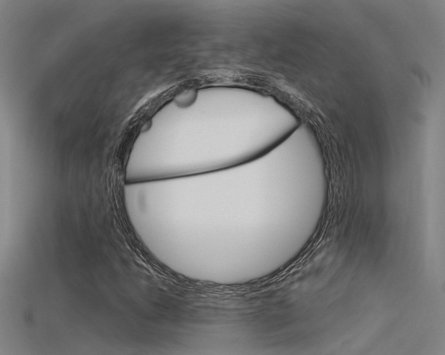 X0000115821206200911131059