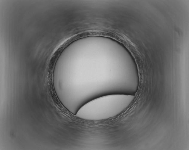 X0000115821208200911131059