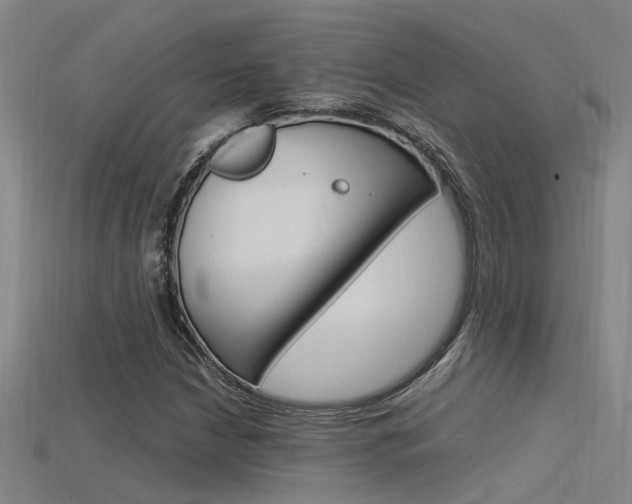 X0000115821210200911131059