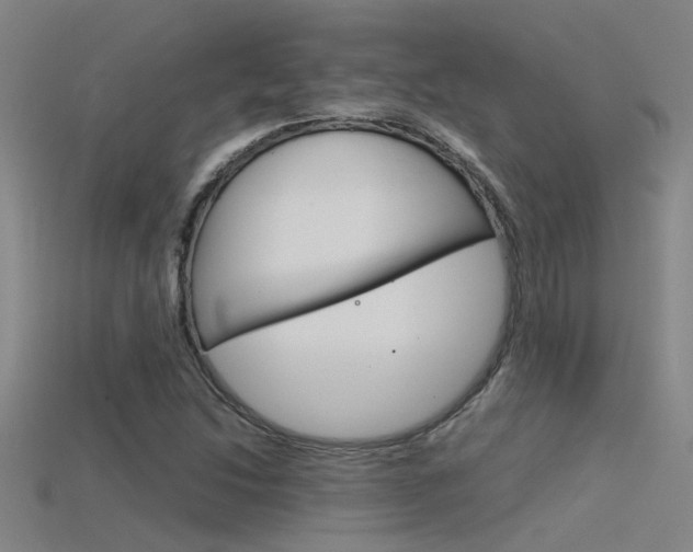 X0000115821214200911131059