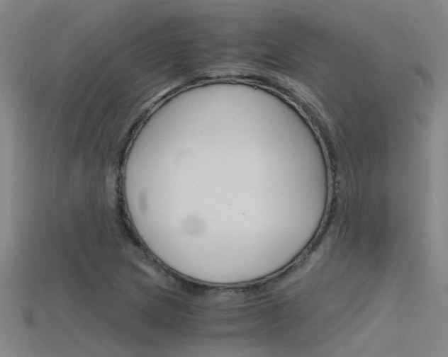 X0000115821217200911131059