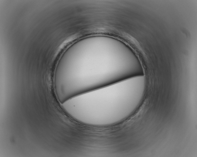 X0000115821218200911131059