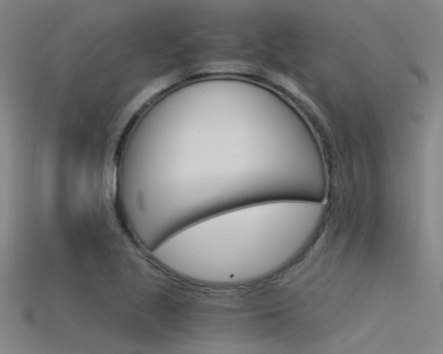 X0000115821221200911131059