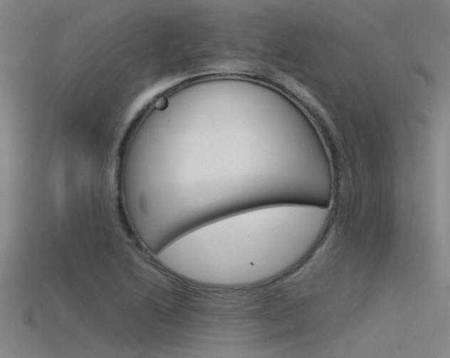 X0000115821222200911131059