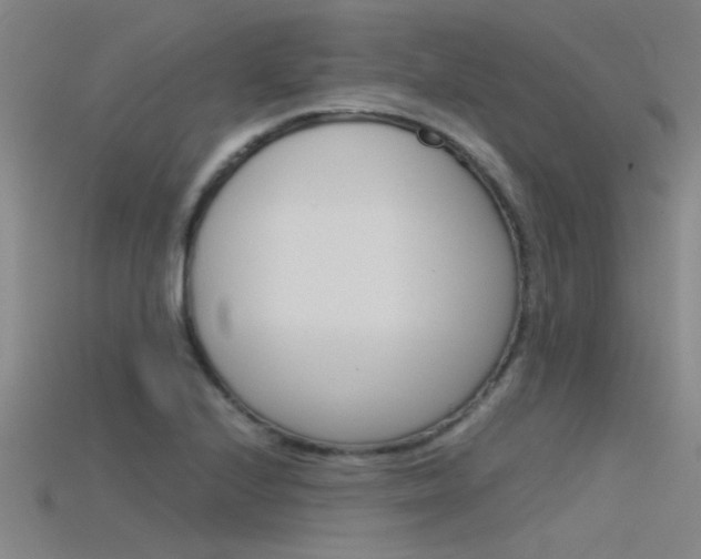X0000115821224200911131059