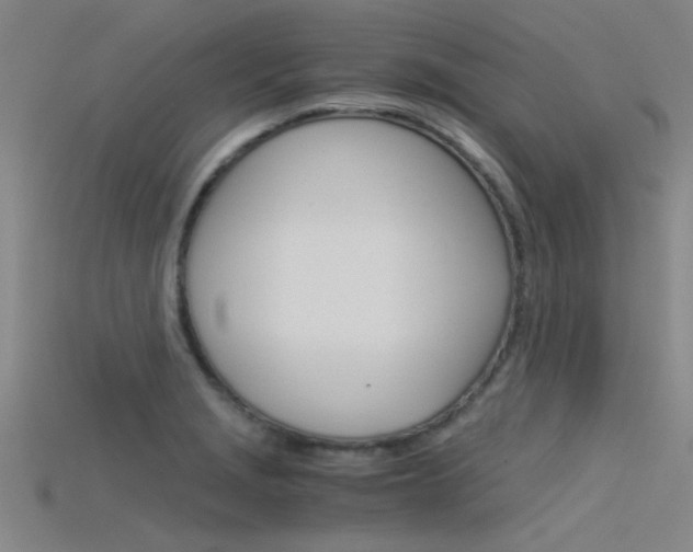 X0000115821229200911131059