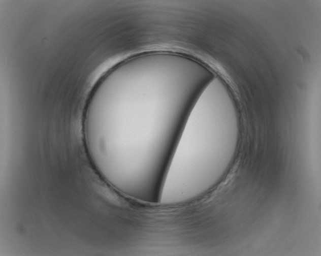 X0000115821230200911131059