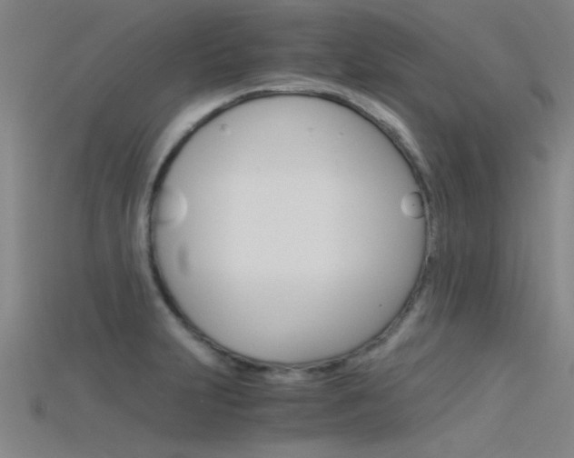 X0000115821231200911131059