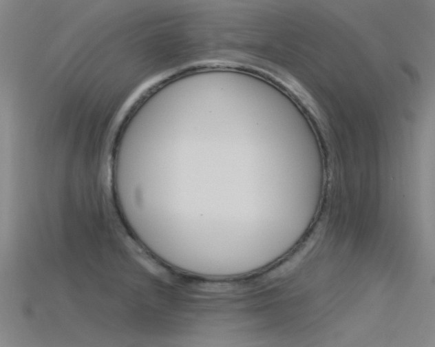 X0000115821232200911131059