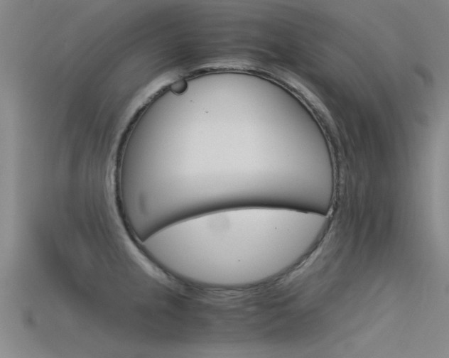 X0000115821237200911131059
