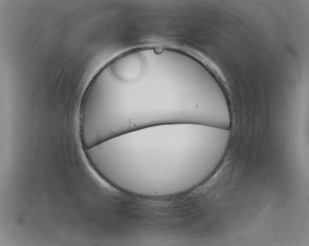 X0000115821239200911131059
