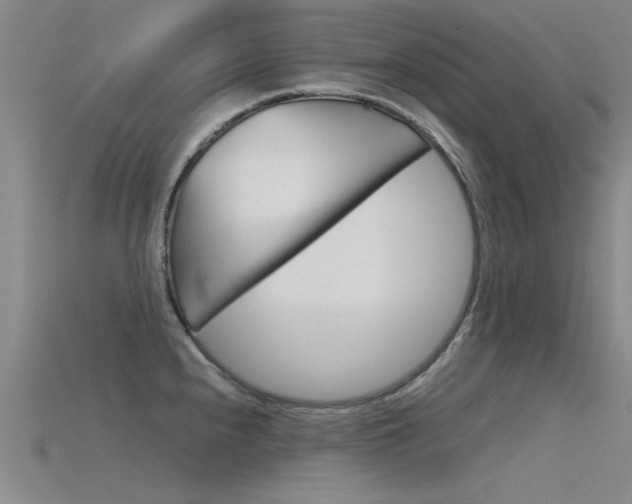 X0000115821240200911131059