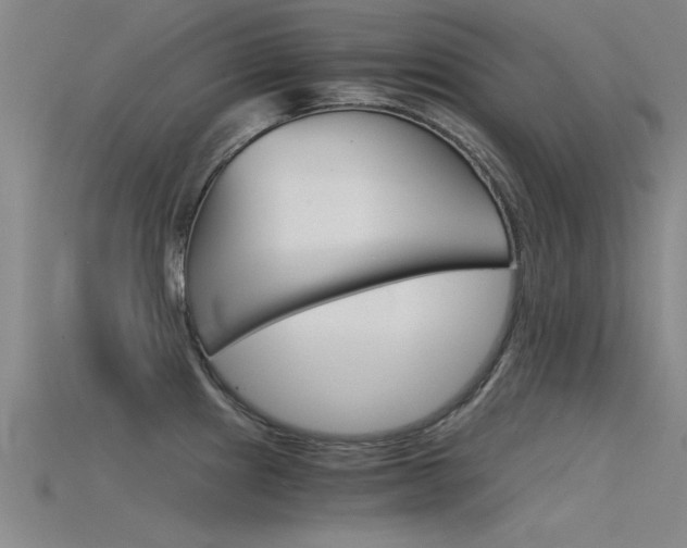 X0000115821241200911131059