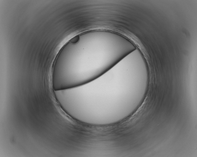 X0000115821242200911131059