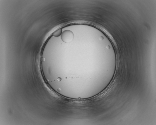 X0000115821245200911131059