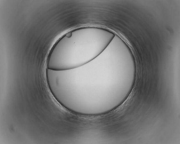 X0000115821246200911131059