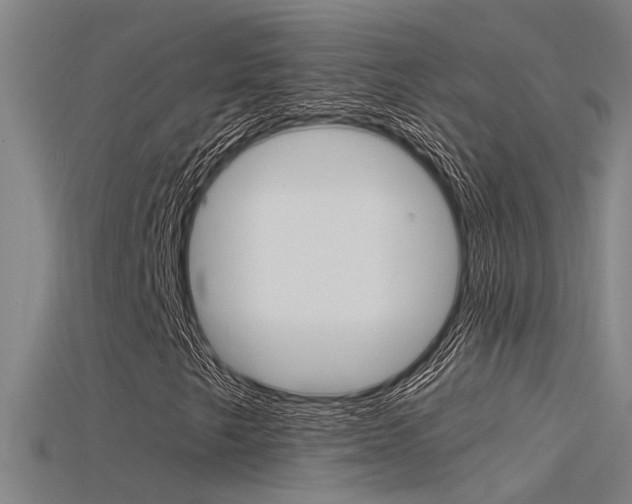 X0000115821249200911131059