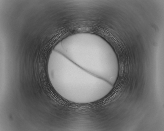 X0000115821250200911131059