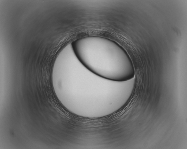 X0000115821252200911131059