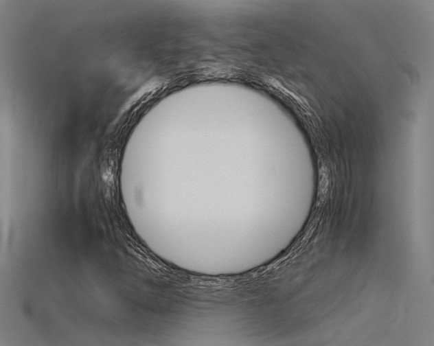 X0000115821254200911131059