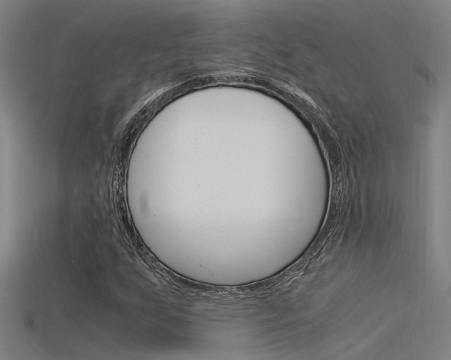 X0000115821255200911131059