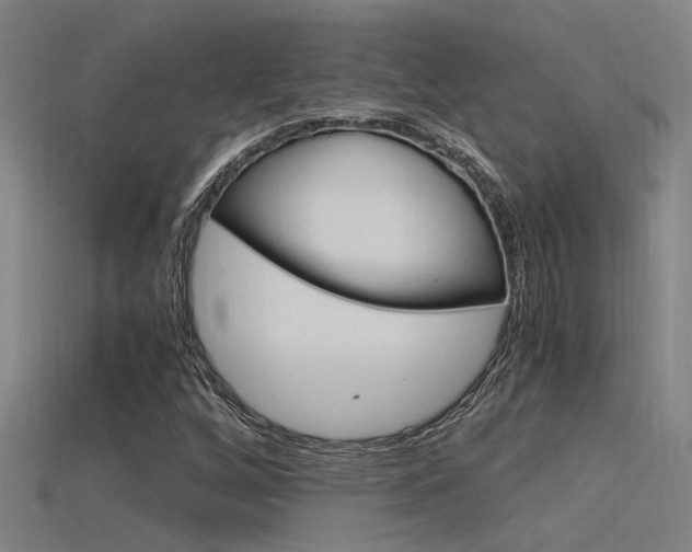 X0000115821256200911131059