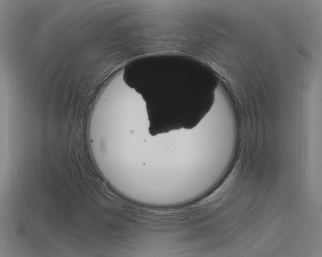 X0000115821257200911131059