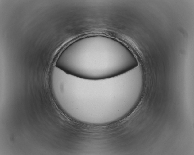 X0000115821260200911131059