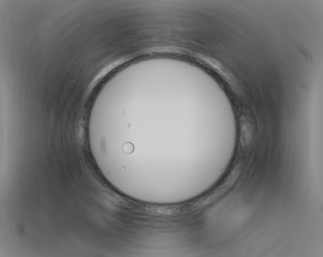 X0000115821266200911131059