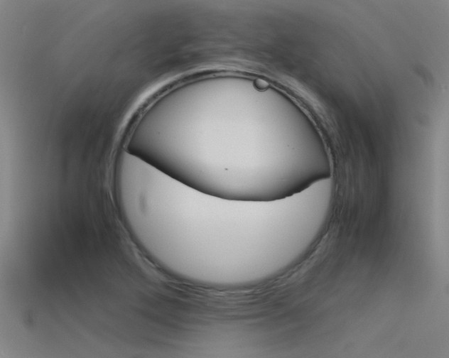 X0000115821272200911131058