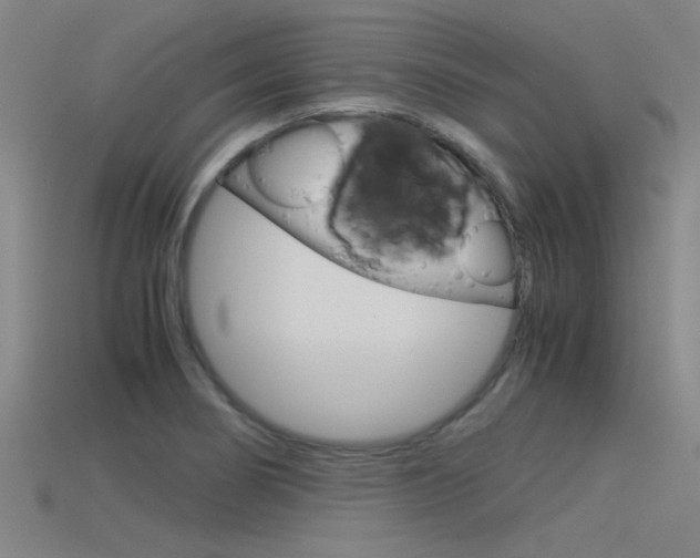 X0000115821274200911131058