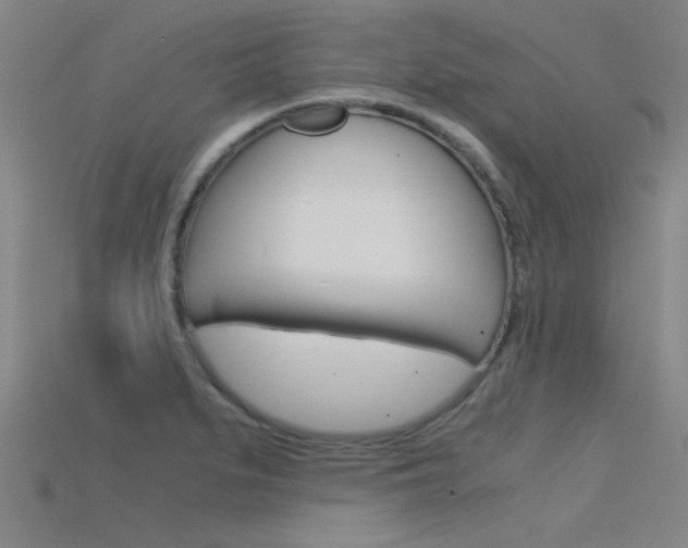 X0000115821279200911131058