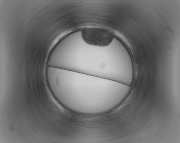X0000115821282200911131058