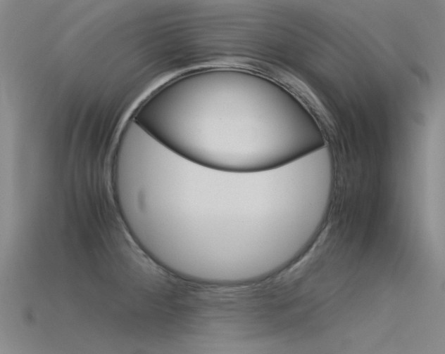 X0000115821284200911131058