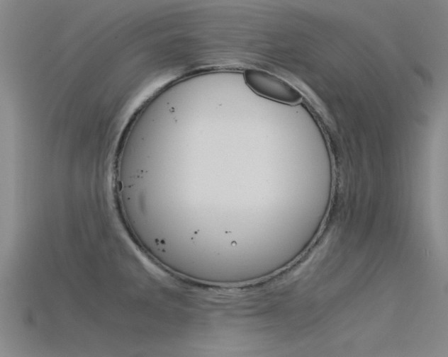 X0000115821285200911131058