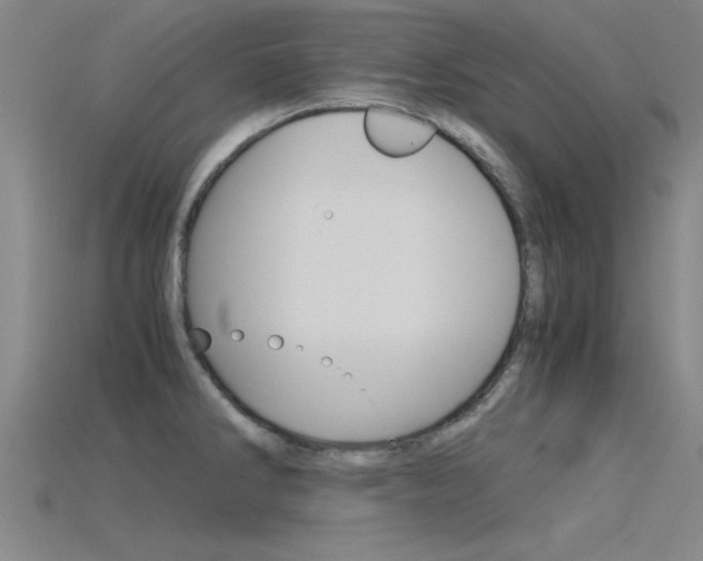X0000115821286200911131058