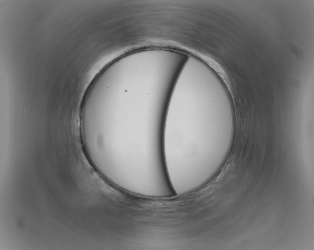 X0000115821287200911131058