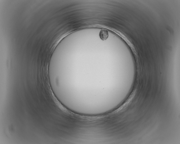 X0000115821289200911131058
