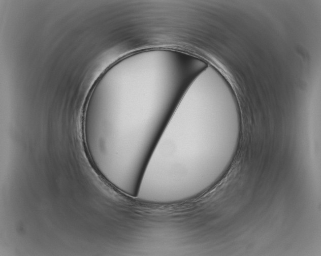 X0000115821291200911131058
