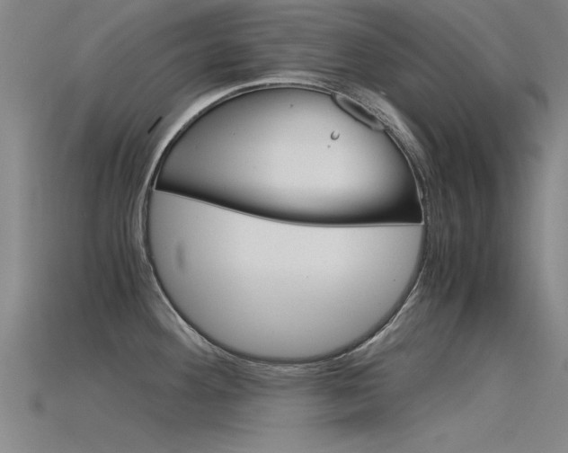 X0000115821292200911131058