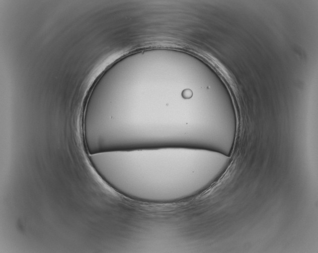 X0000115821293200911131058